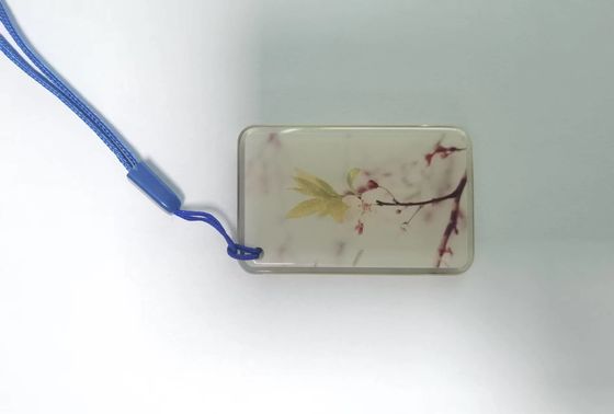 Etiqueta da cola Epoxy de NFC das etiquetas 13.56Mhz de NFC de ISO14443A RFID para o sistema do controle de acesso